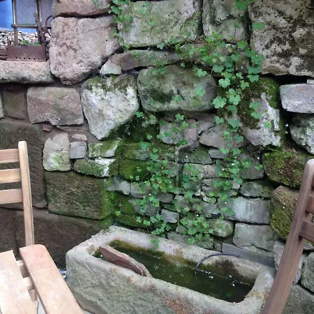 Paramaribo Apartment